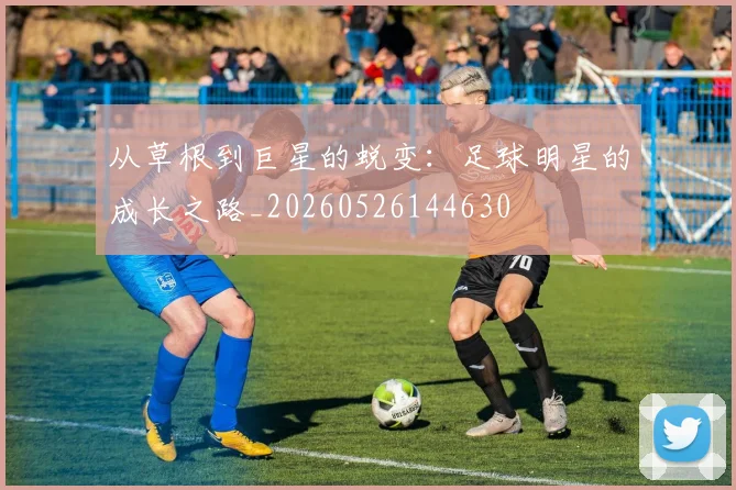 从草根到巨星的蜕变:足球明星的成长之路_20260526144630